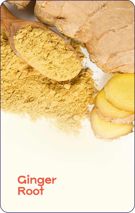 Ginger Root